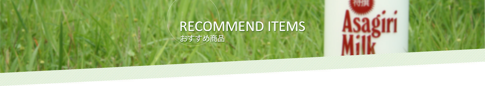 RECOMMEND ITEMS おすすめ商品